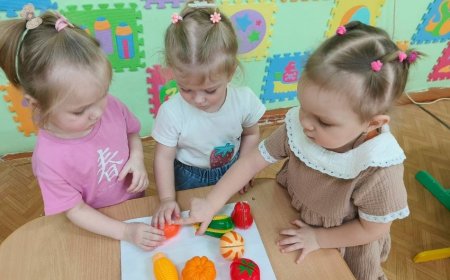 Okul Öncesi Eğitim ve Kreş Sağlığı: Çocukların Sağlıklı Geleceği İçin Temel Adımlar