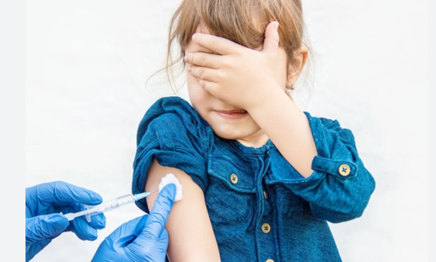 1 Yaş Aşısı Nedir? Bebekleri Hayati Risklerden Koruyan Kritik Aşılama Süreci