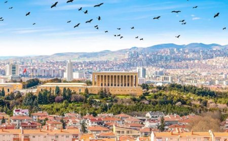 Ankara’nın En İyi Uzman Çocuk Doktorları ve İletişim Bilgileri