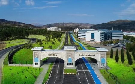 Bingöl’ün Öne Çıkan Uzman Çocuk Doktorları ve İletişim Bilgileri