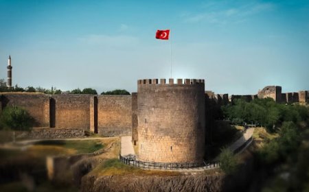 Diyarbakır’ın En İyi Uzman Çocuk Doktorları ve İletişim Bilgileri