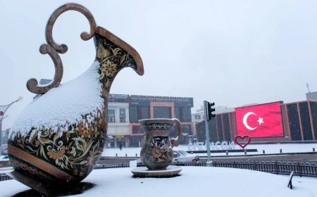 Erzincan’ın En İyi Uzman Çocuk Doktorları ve İletişim Bilgileri