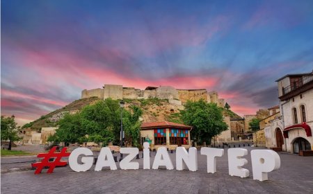 Gaziantep’in En İyi Uzman Çocuk Doktorları ve İletişim Bilgileri