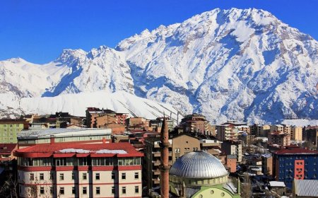 Hakkâri’nin En İyi Uzman Çocuk Doktorları ve İletişim Bilgileri