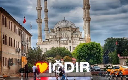 Iğdır’ın En İyi Uzman Çocuk Doktorları ve İletişim Bilgileri