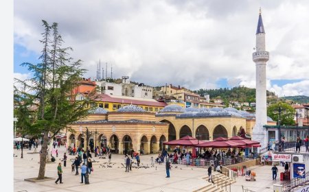 Kastamonu’nun En İyi Uzman Çocuk Doktorları ve İletişim Bilgileri