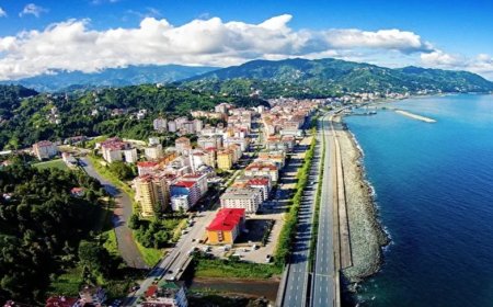 Rize’nin En İyi Uzman Çocuk Doktorları ve İletişim Bilgileri