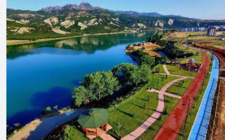 Tunceli’nin Öne Çıkan Diş Hekimleri ve Klinik Bilgileri