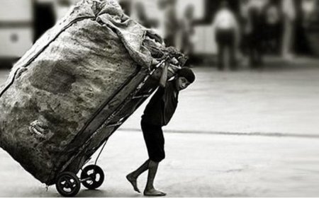 Çocuk İşçiliği Küresel Ölçekte Azalıyor, Ancak Hedefler Hâlâ Uzakta