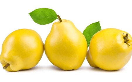 Rüyada Ayva Görmek Ne Anlama Gelir? Kadim Alimlerden Derinlikli Yorumlar