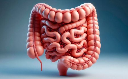 Rüyada Bağırsak Görmek Ne Anlama Gelir? Gizli Sırların ve Haram Kazancın İşaretleri