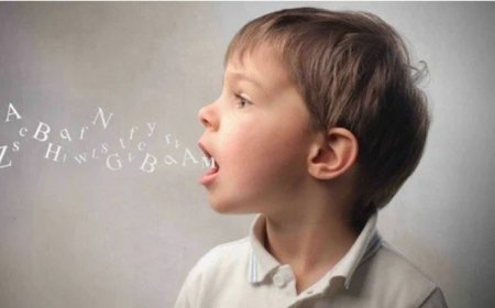 Türkiye’de Bir Eğitim Hikâyesi: Kekeme Çocuk Anıl’ın Sigortalı İşçiliğe Uzanan Yolculuğu