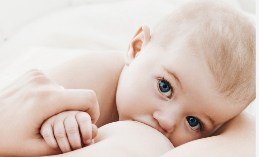 İlk 12 Ay Beslenme Yol Haritası: Uzmanlardan Anne Sütü, Ek Gıda ve Sofraya Geçiş Rehberi